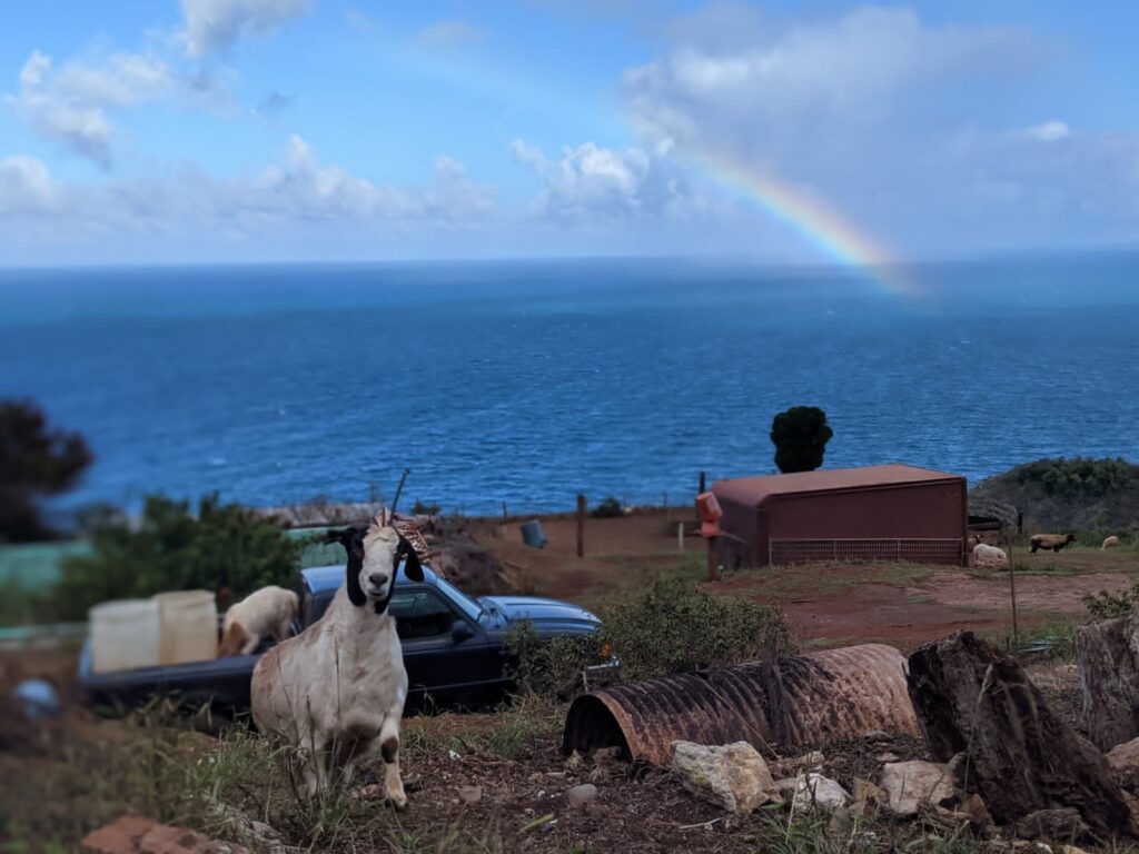 MAUI: el corazón de los 7 chakras del mundo